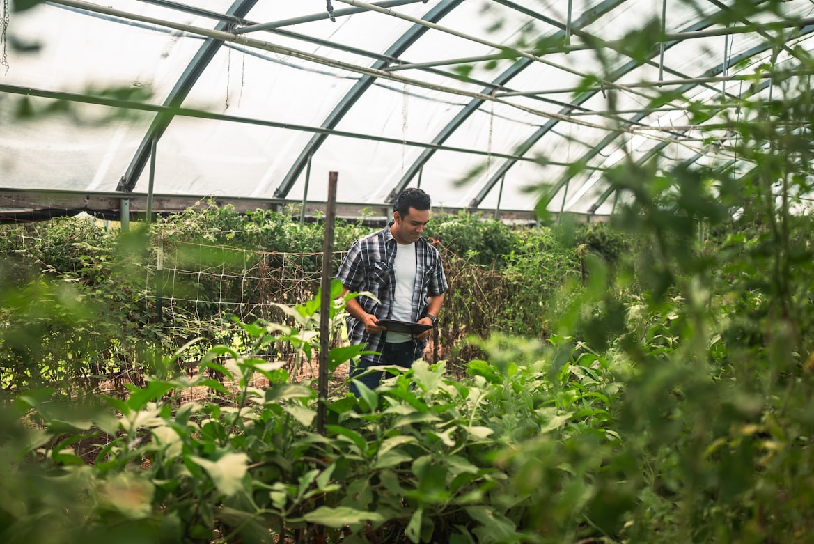 Agriculture Sector